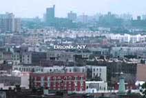 Bild, Bronx N.Y.